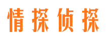 波密市婚外情调查